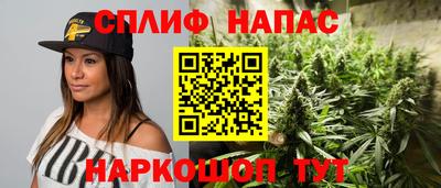 соль ск Сланцы