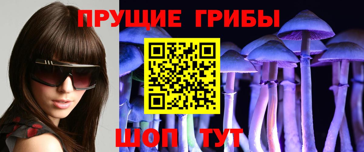 Новосибирск  Псилоцибиновые грибы MAGIC MUSHROOMS  Галлюциногенные грибы Psilocybine cubensis  Вход с VPN 