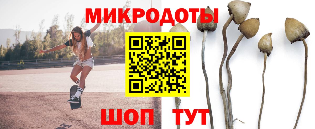 Псилоцибиновые грибы Psilocybine cubensis Новосибирск