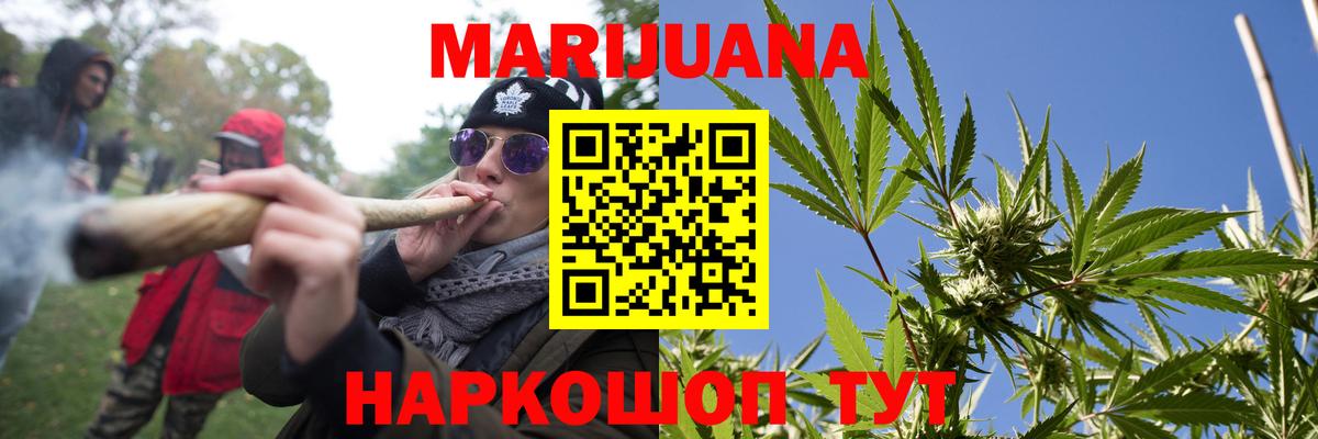 Бошки марихуана семена  Конопля семена  Конопля гибрид  Новосибирск  Вход с VPN 